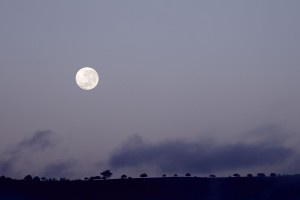Casa Luna - Moonlight